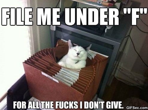 LOL---LOLCat.jpg