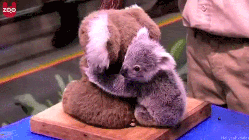 HOA45OD.gif