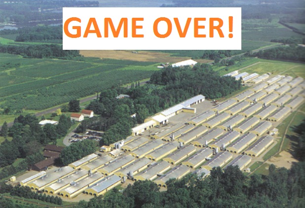greenhill15.jpg