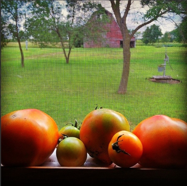 instagram12.jpeg