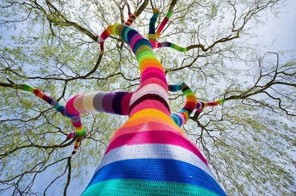 art-colors-tree-Favim.com-535180.jpg