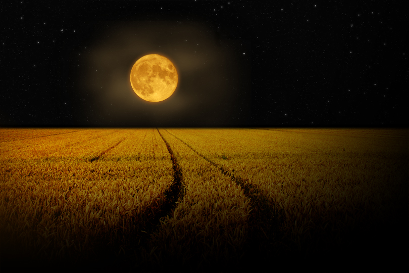 full_corn_moon.jpeg