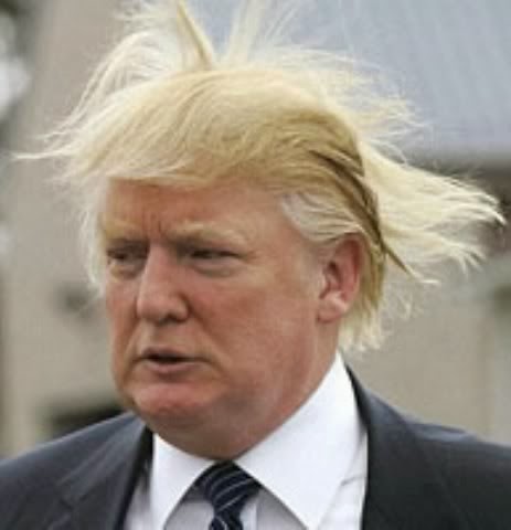 trump-hair.jpg