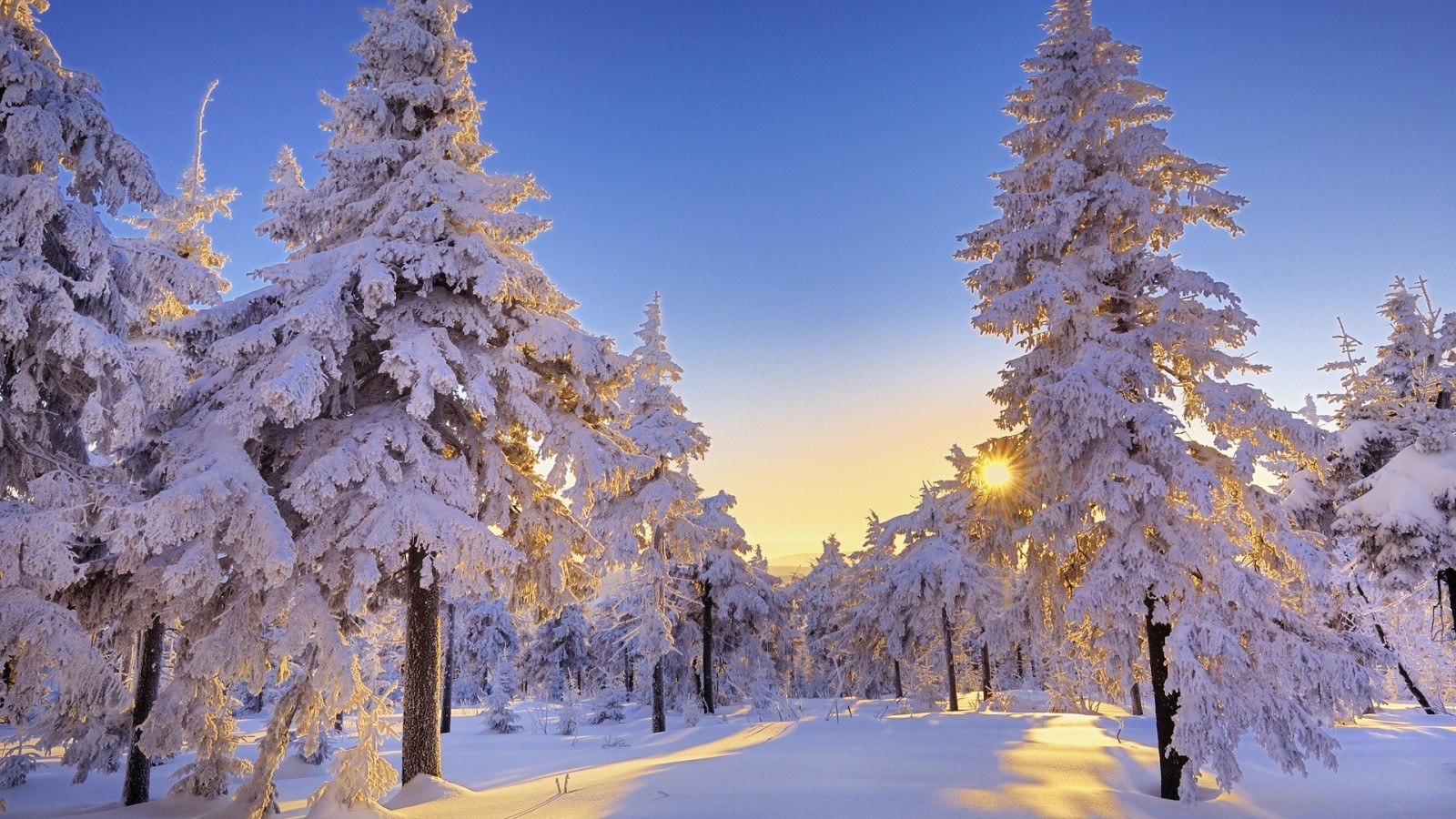 germany-winter-landscape-widescreen-wide.jpg