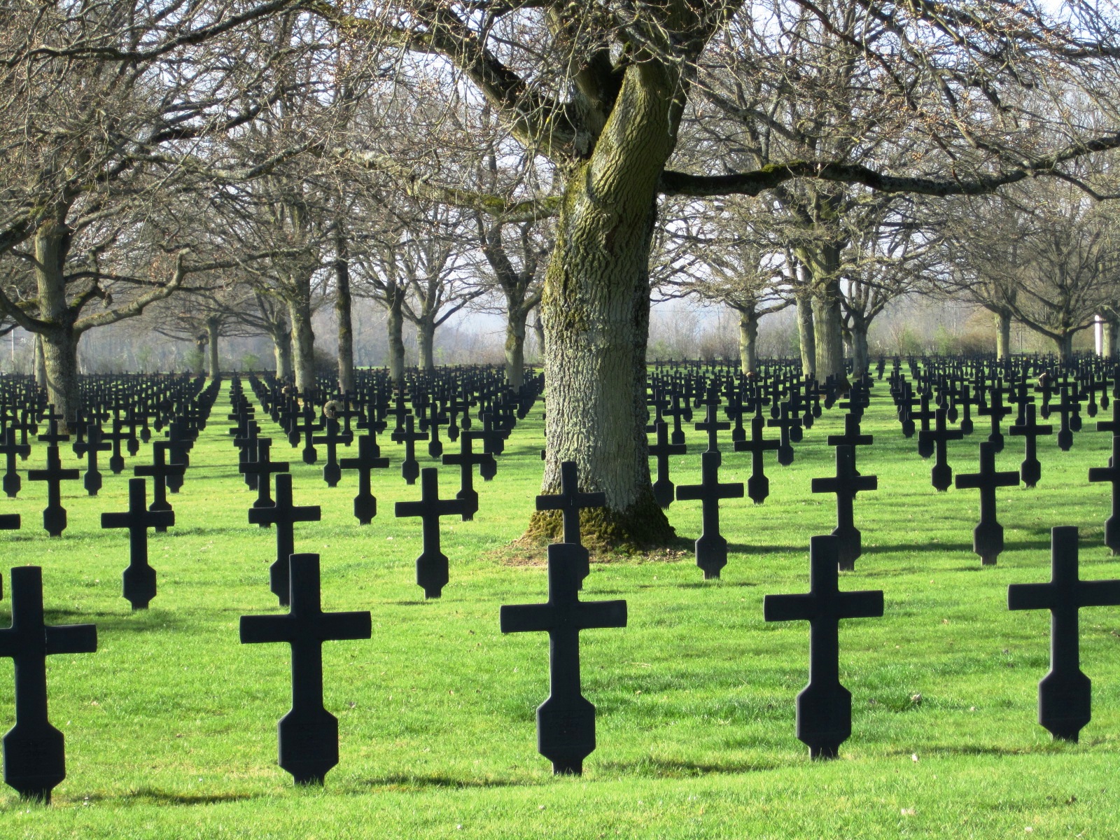 german-cemetary.jpg
