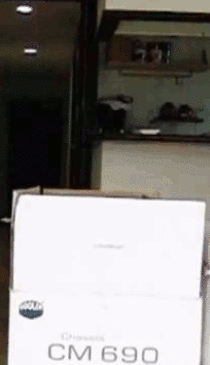 cats-out-of-the-box-92298.gif