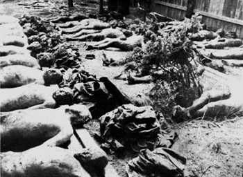 I099_007_MassGraves.jpg