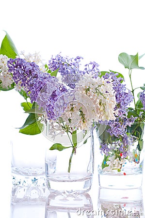 lilac-bouquets-14517174.jpg