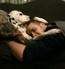 Epi2jlR.gif