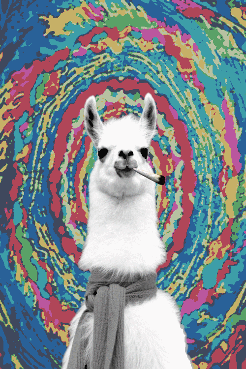 tumblr_mprf6rbde91sqsrm8o1_500.gif