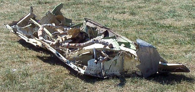 scrap_lawn1.jpg