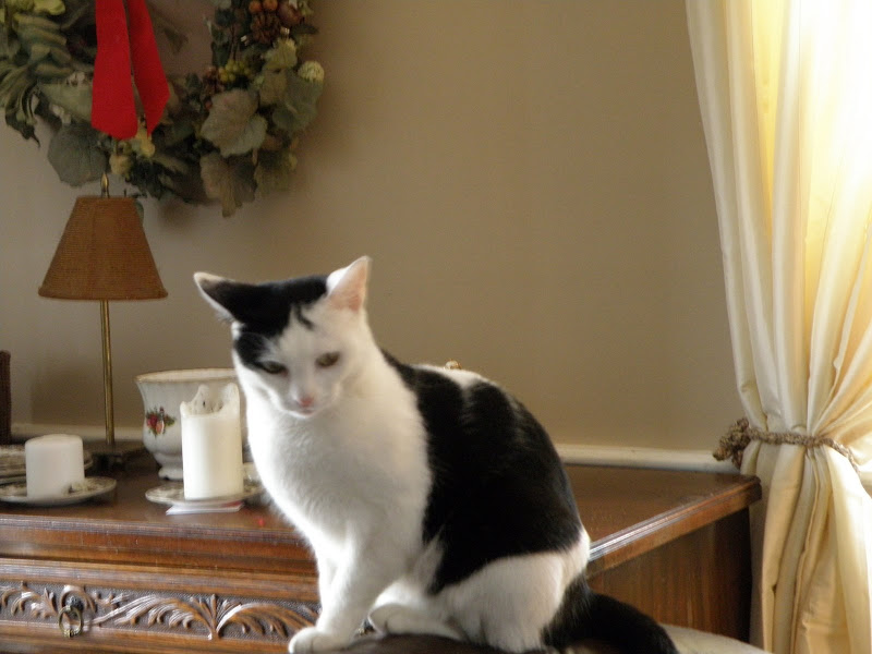 PC242964.JPG