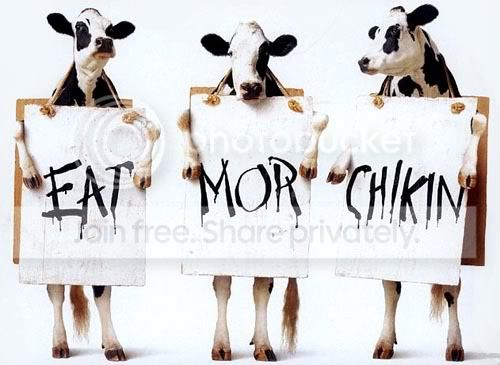 eat-more-chikin.jpg