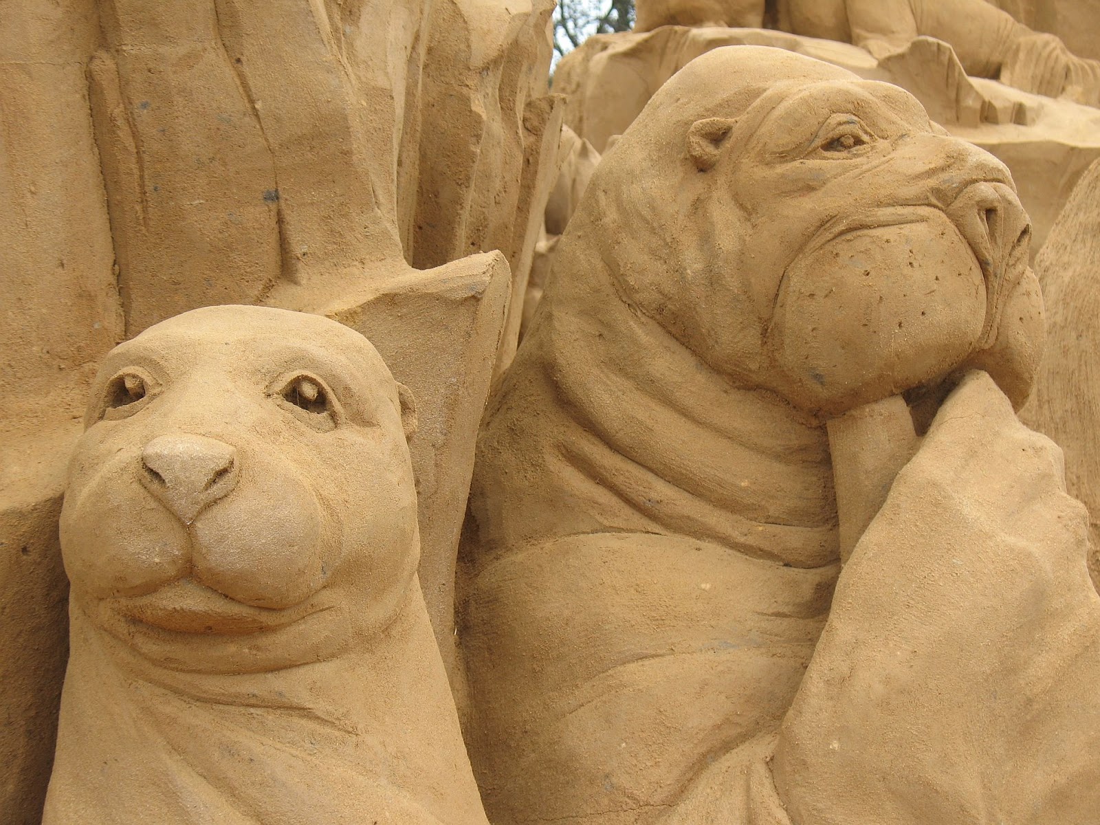SandSeals.jpg