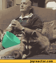 gif-popcorn-coon-452658.gif