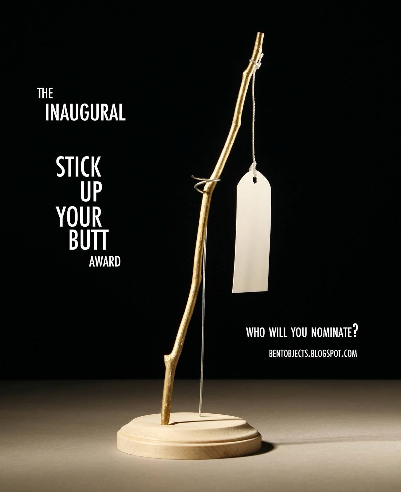 stick+up+your+butt+award.jpg