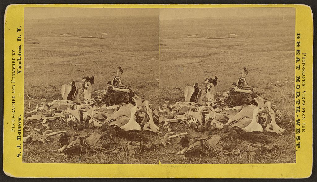 bones_at_little_big_horn_1876.jpg