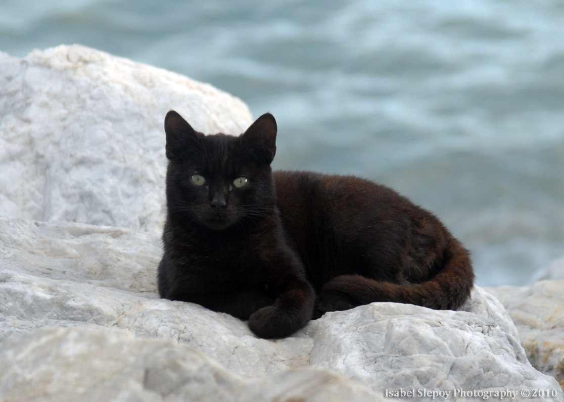 dsc_0482.jpg