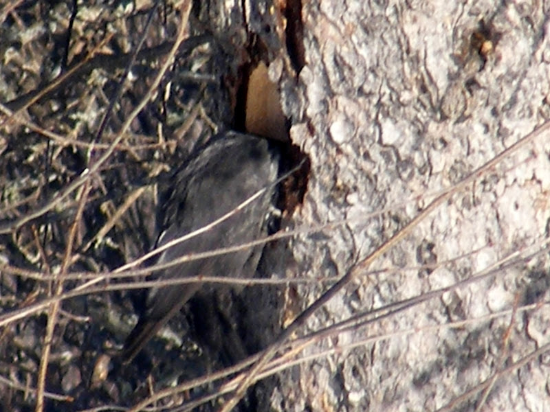 DSCF0376.JPG