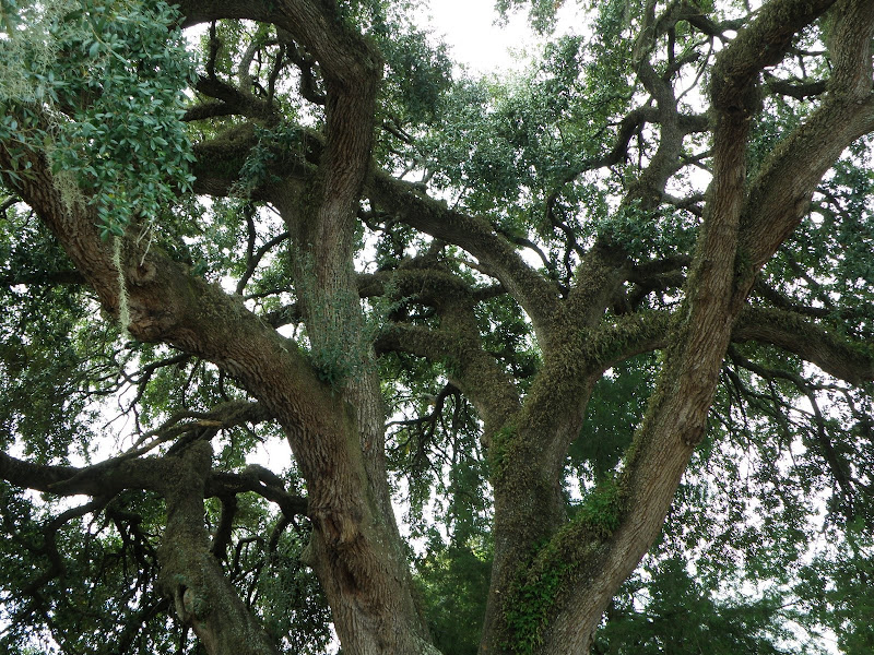 PB302828.JPG