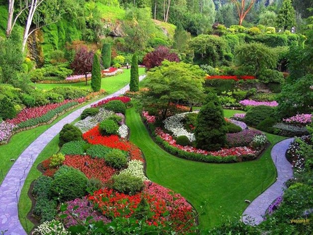 beautiful-nature-photos-15.jpeg