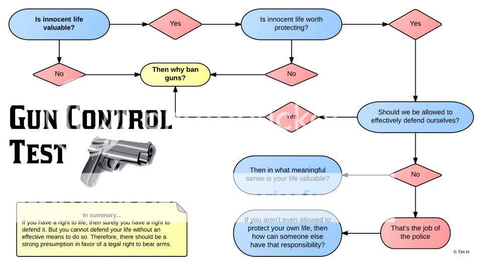GunControlFlowChart.jpg