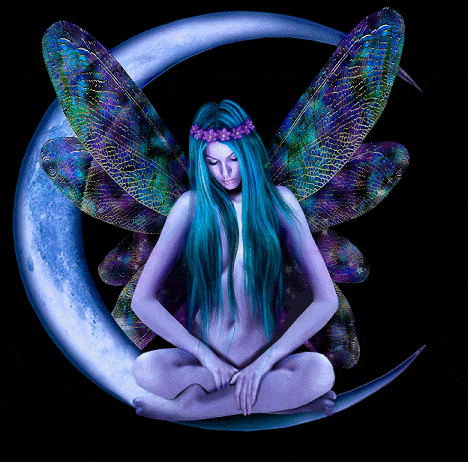 fairy-04.gif