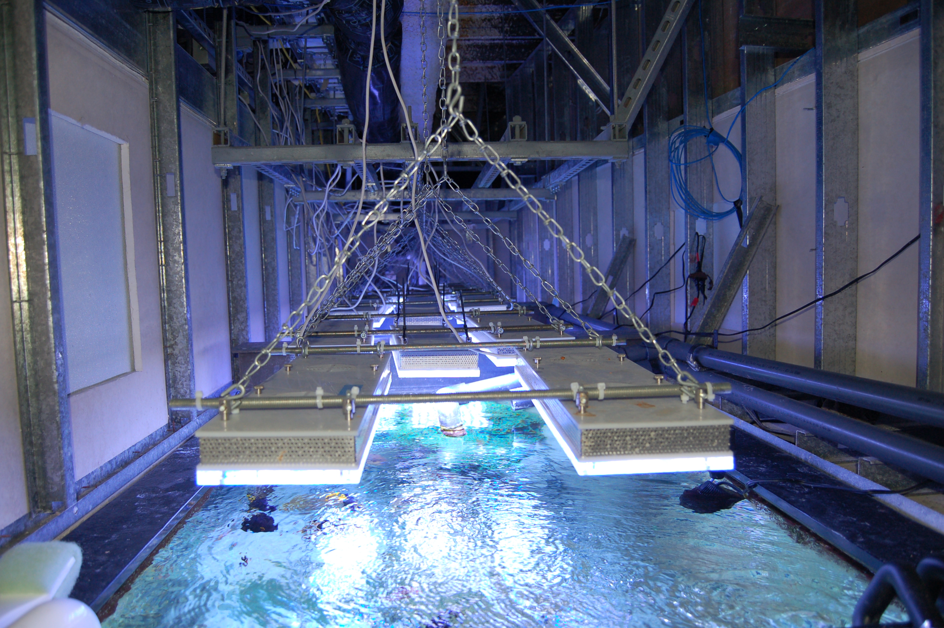 orphek-reef-led-lighting.jpg