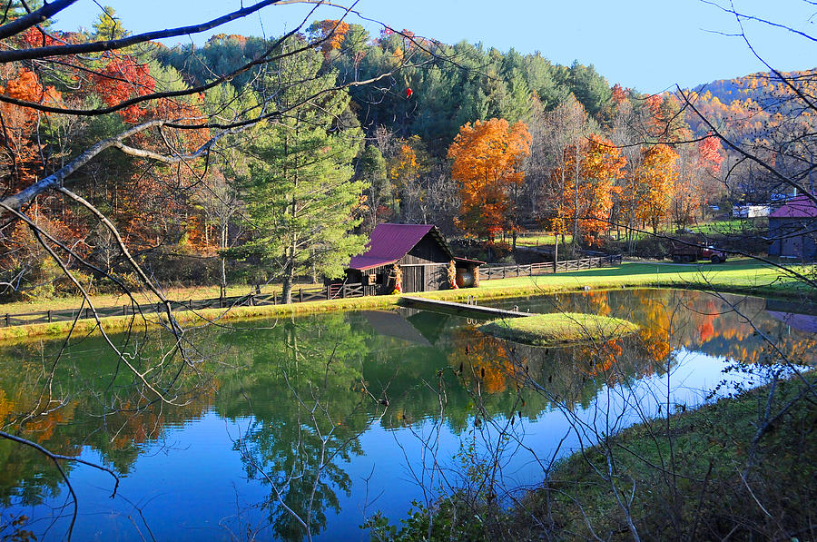 fall-reflections-at-the-farm-lynn-bauer.jpg