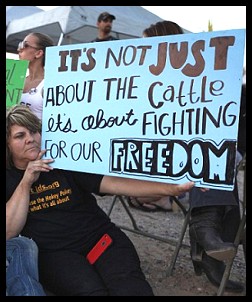 BundyRanch_NotAboutCattleAboutFreedom.jpg
