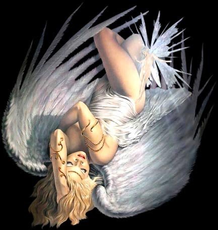 angel-31.jpg