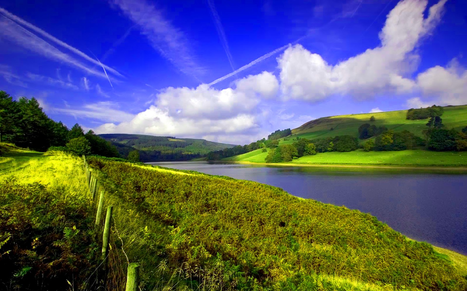 Landscape.jpg
