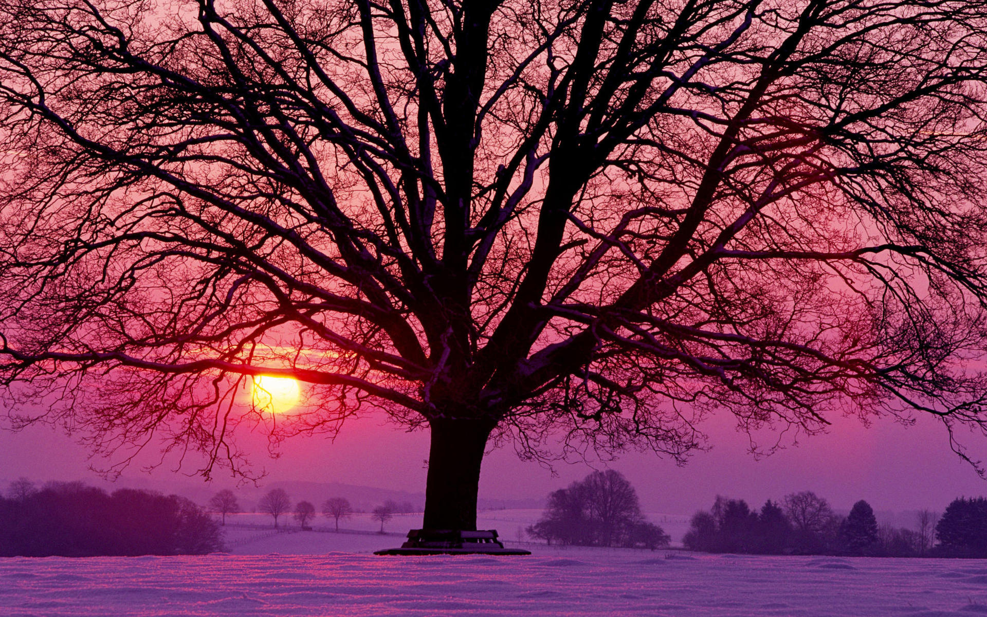 38050-1920x1200.jpg
