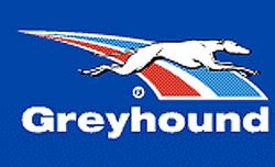 T1_N147_A17_GreyhoundLogo.jpg