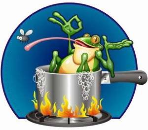 boiling_frog.jpg