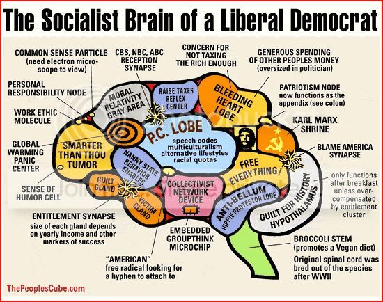 liberal_brain1.jpg