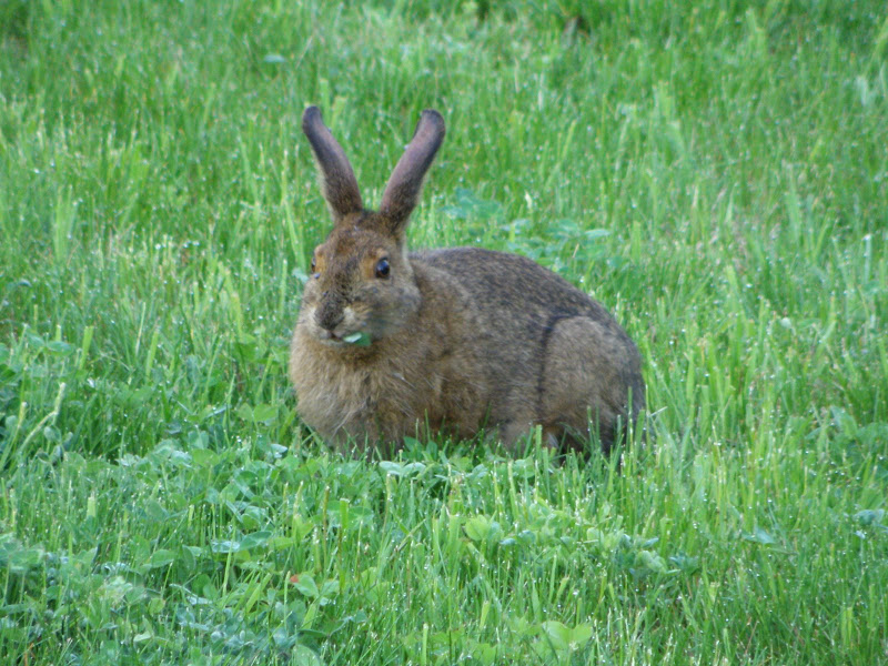 P5212154.JPG
