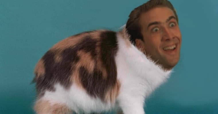 Nicolas-Cage-Cats-Featured.jpg