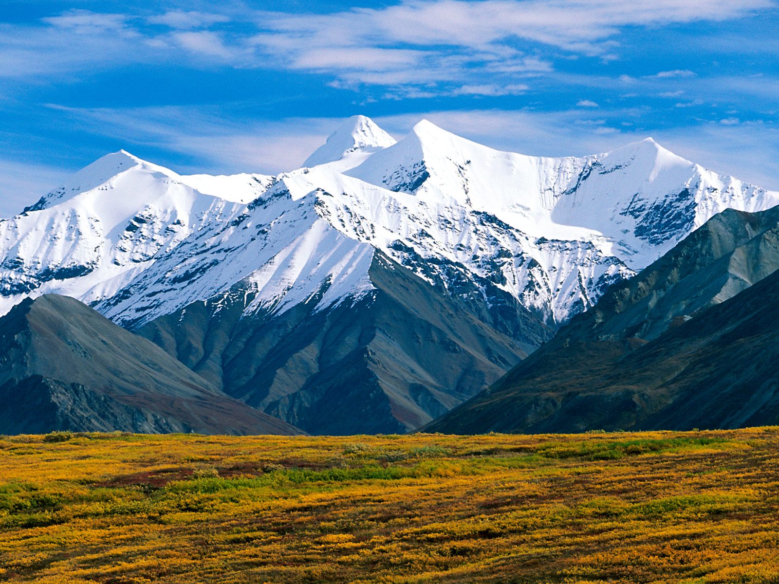 denali_national_park_alaska-normal.jpg