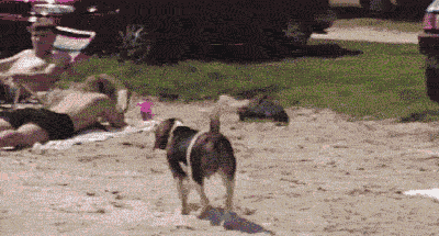 FKLADMI.gif