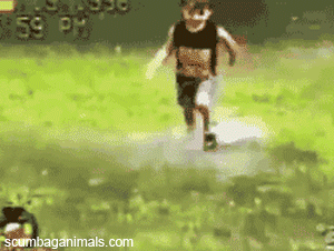 animals-7.gif