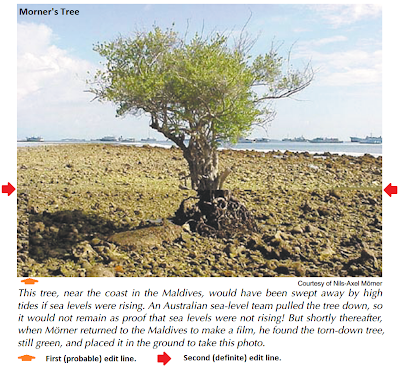 Morner's_Tree.png