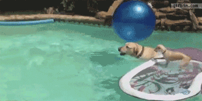 Aa6oN2f.gif