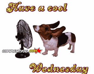 Wednesday18.gif
