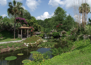 kanapaha_botanical_gardens.jpg