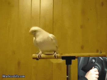 EBbx5.gif