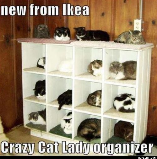 Crazy_Cat_Lady_Organizer.jpg