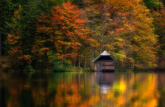 Inspiring-Examples-of-Nature-Photography-02.jpg