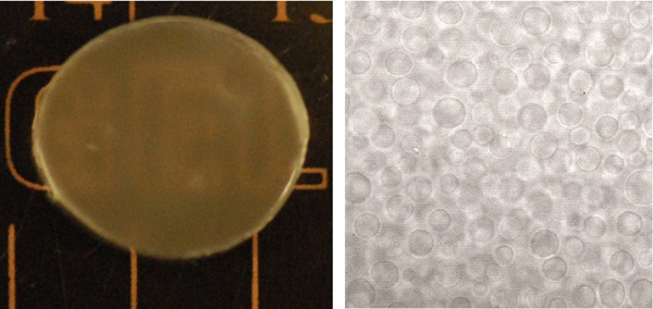 hydrogel.jpg