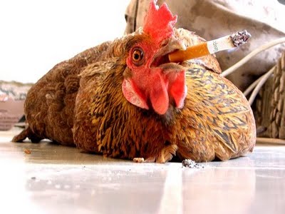Smoking-Chicken.jpg